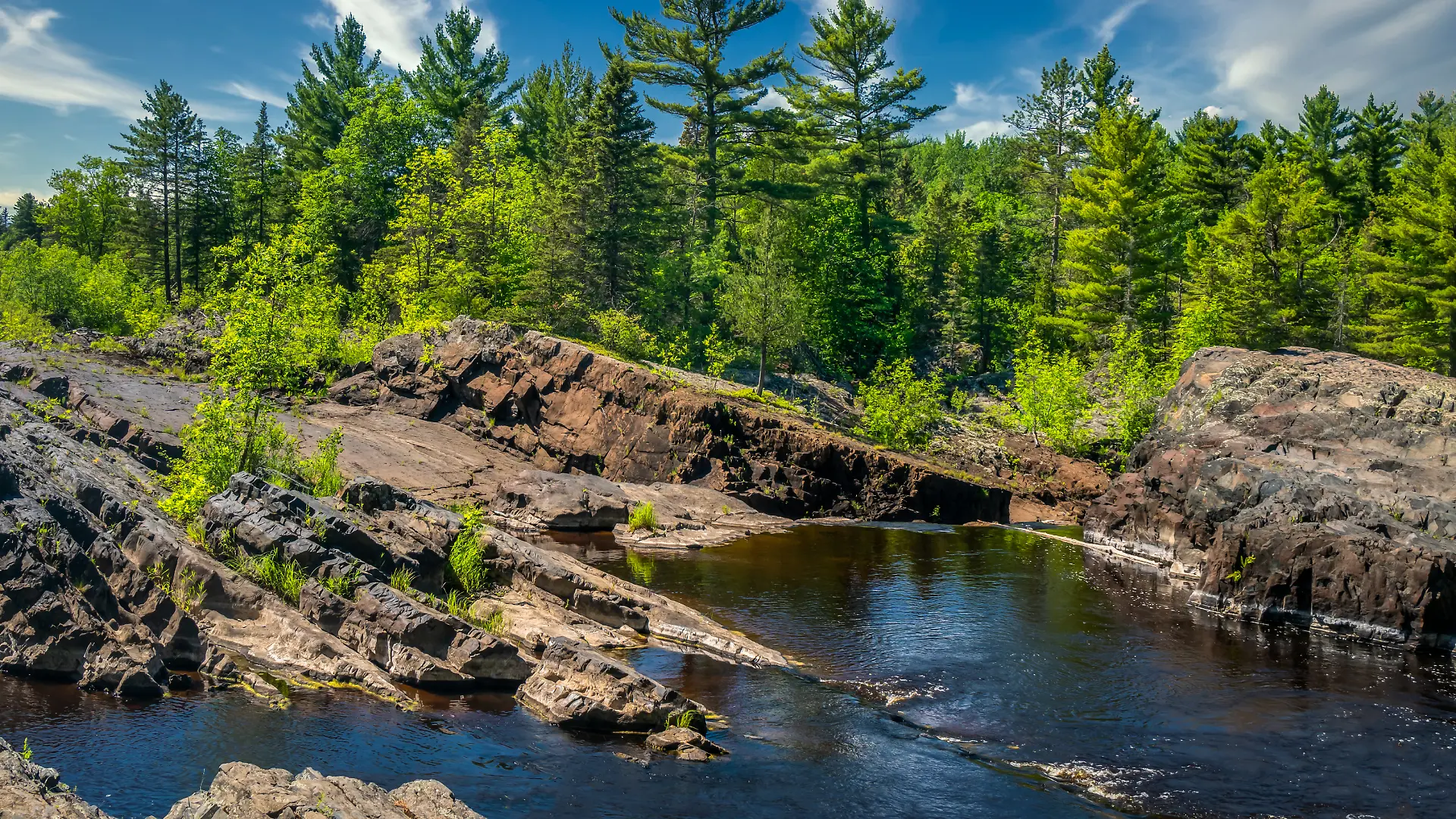 Gemeinsam verbrachten die Kinder Zeit in Minnesotas Natur. (Symbolbild)