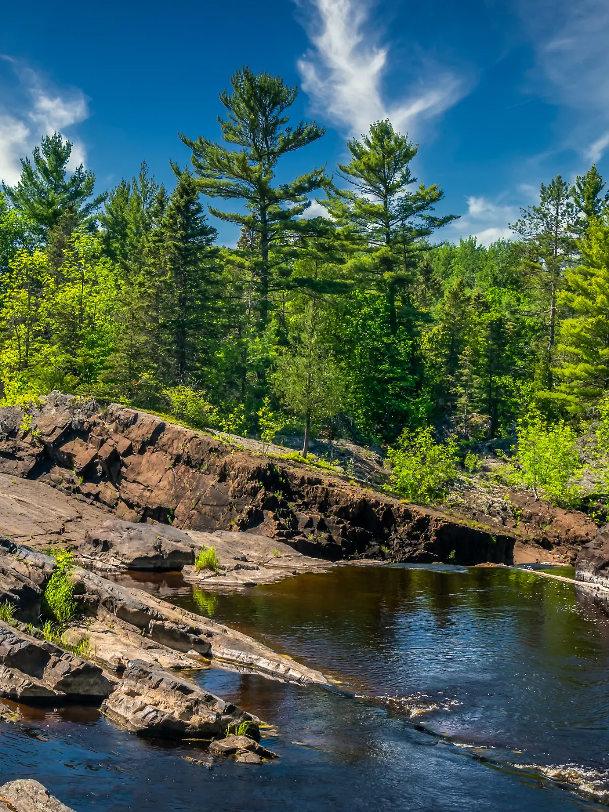 Gemeinsam verbrachten die Kinder Zeit in Minnesotas Natur. (Symbolbild)
