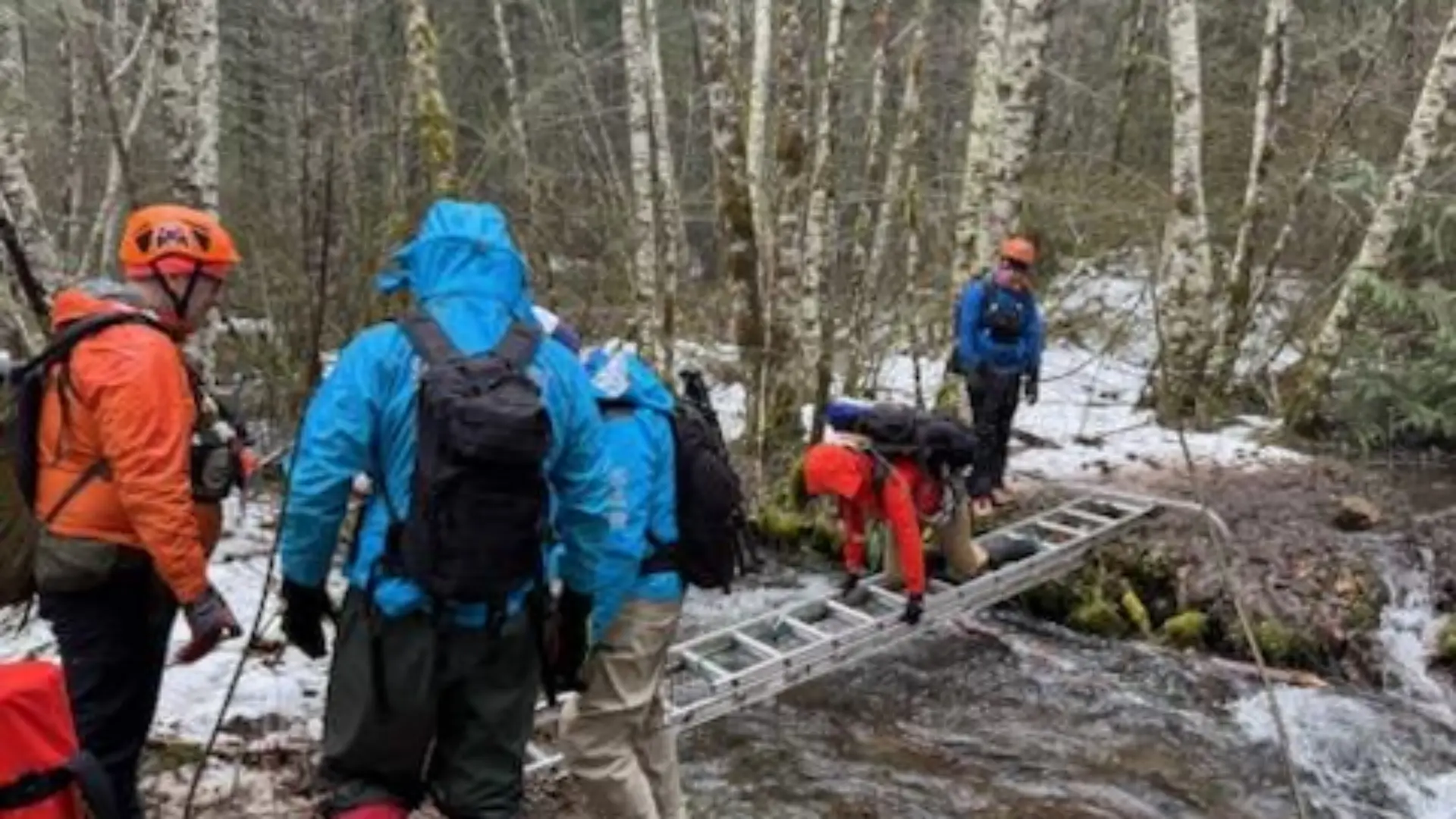 Suche nach Vermissten im Gifford Pinchot National Forest 