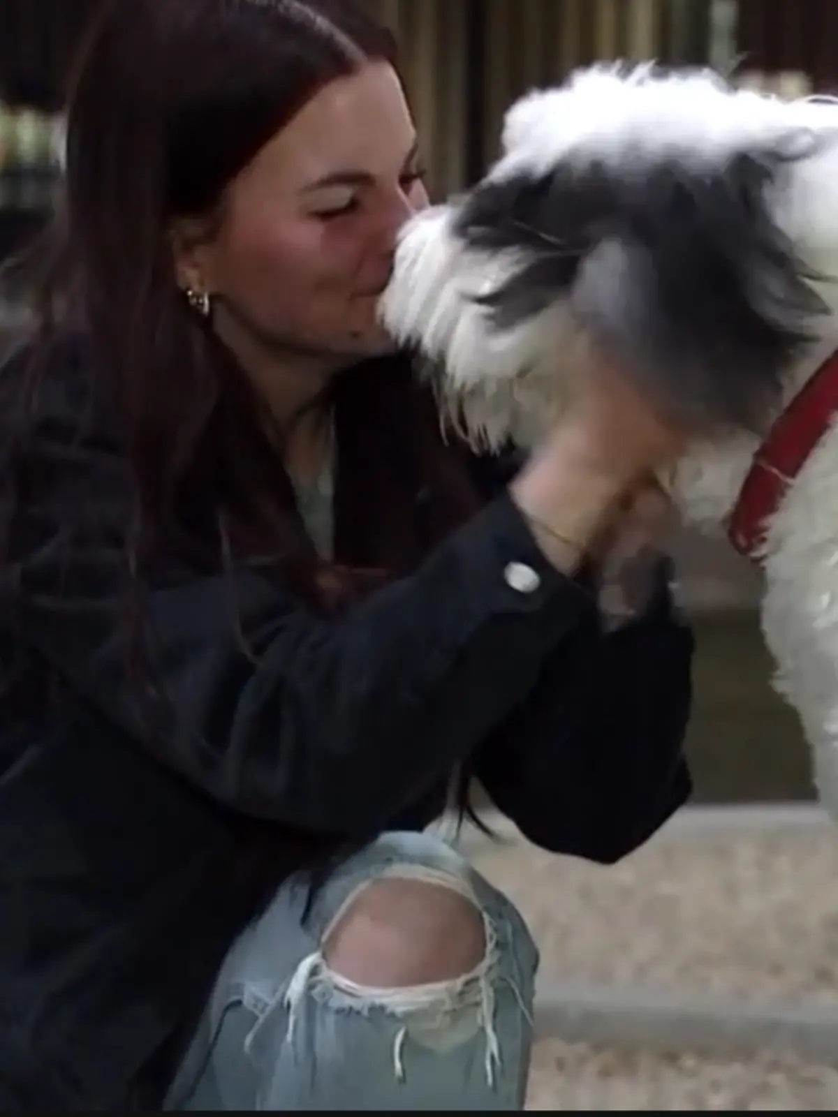 Frauchen und Hund begrüßen sich