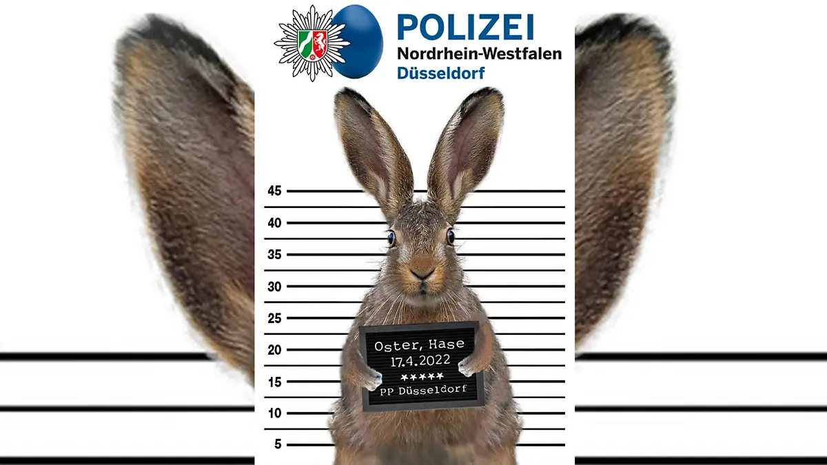 Osterhase