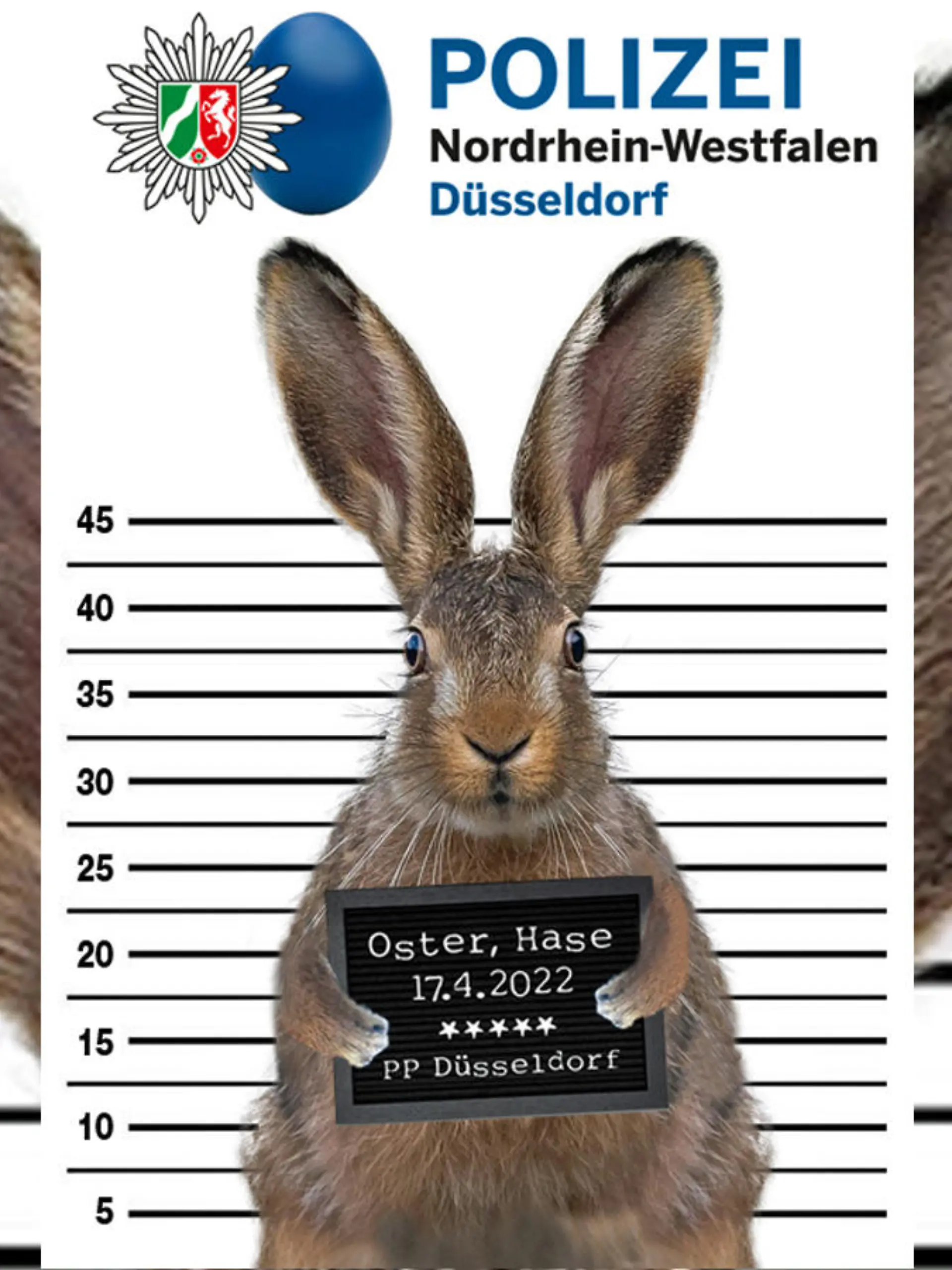 Osterhase