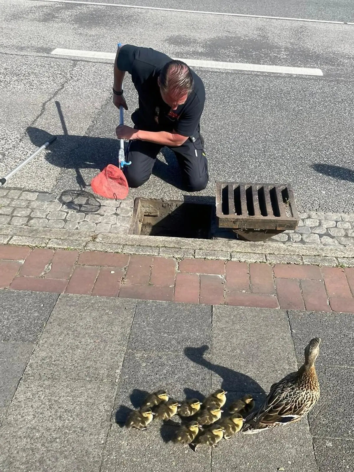 Die Feuerwehr Bremerhaven rettete ein Entenküken aus einem Gully.