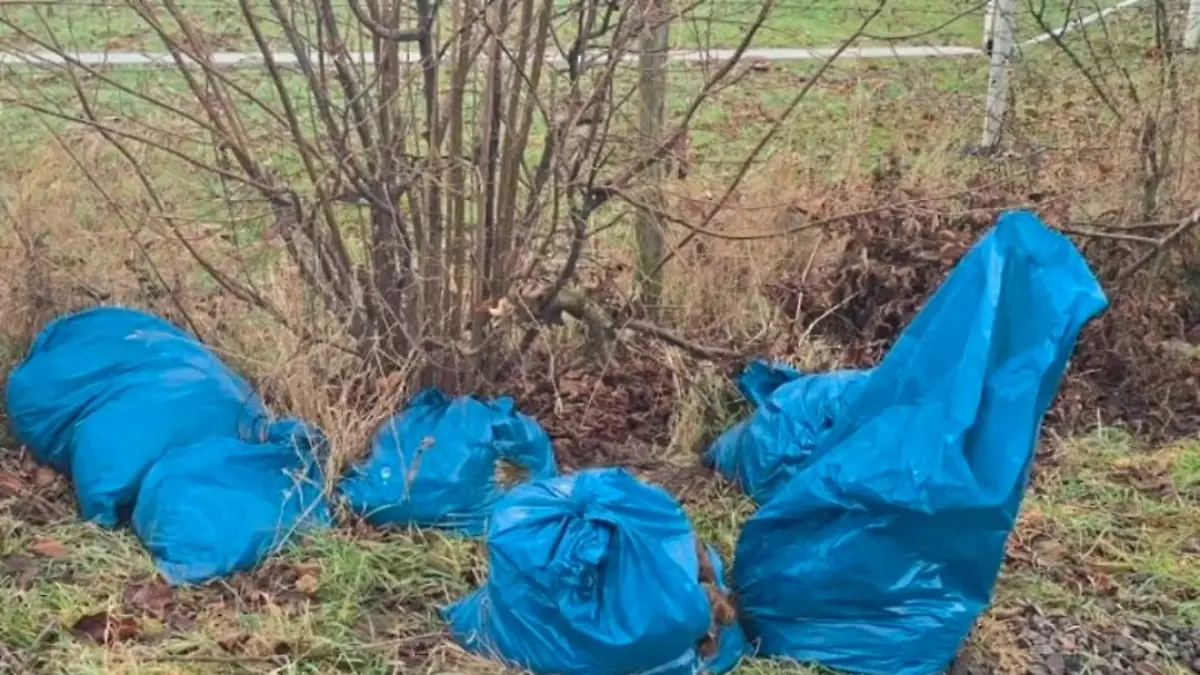 Die Müllsäcke liegen neben einem Waldweg.