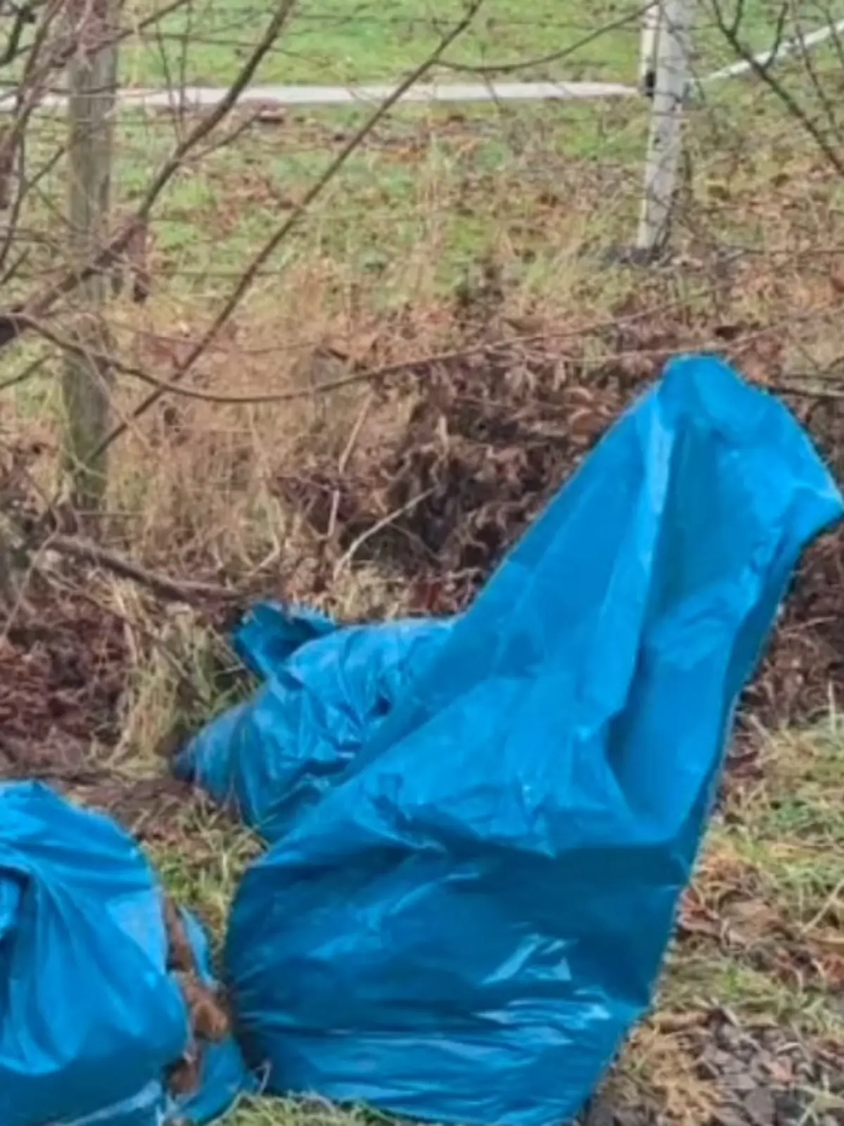 Die Müllsäcke liegen neben einem Waldweg.