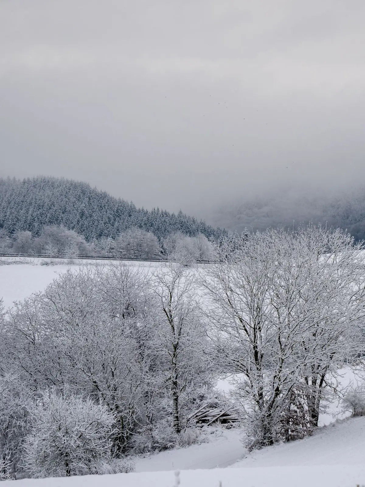Bild zu: "Glatteis, Sturm und Schnee bis ins Flachland"
