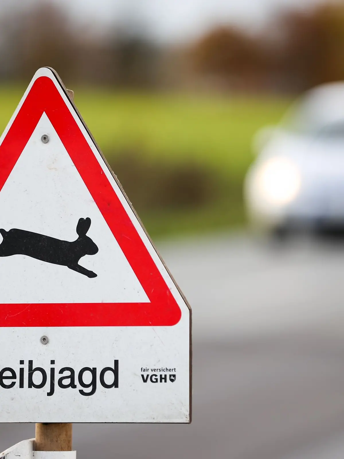 Bild zu: "Jäger entdecken Leiche! Mann lag monatelang im Wald"