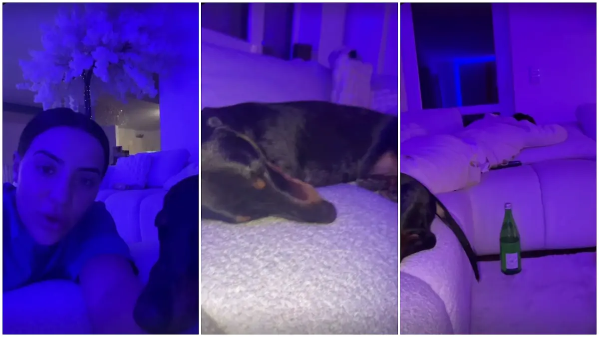 Leyla hat sich Sorgen um Hund Alani gemacht