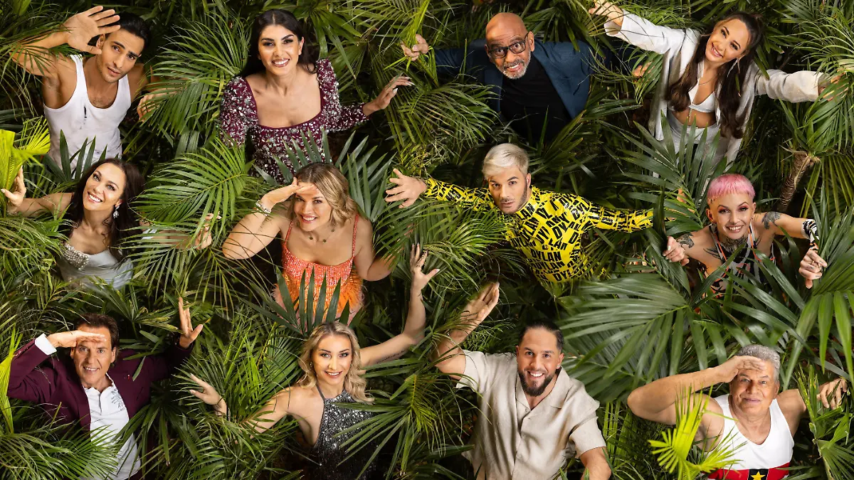 Das sind unsere neuen Dschungelcamp-Kandidaten.