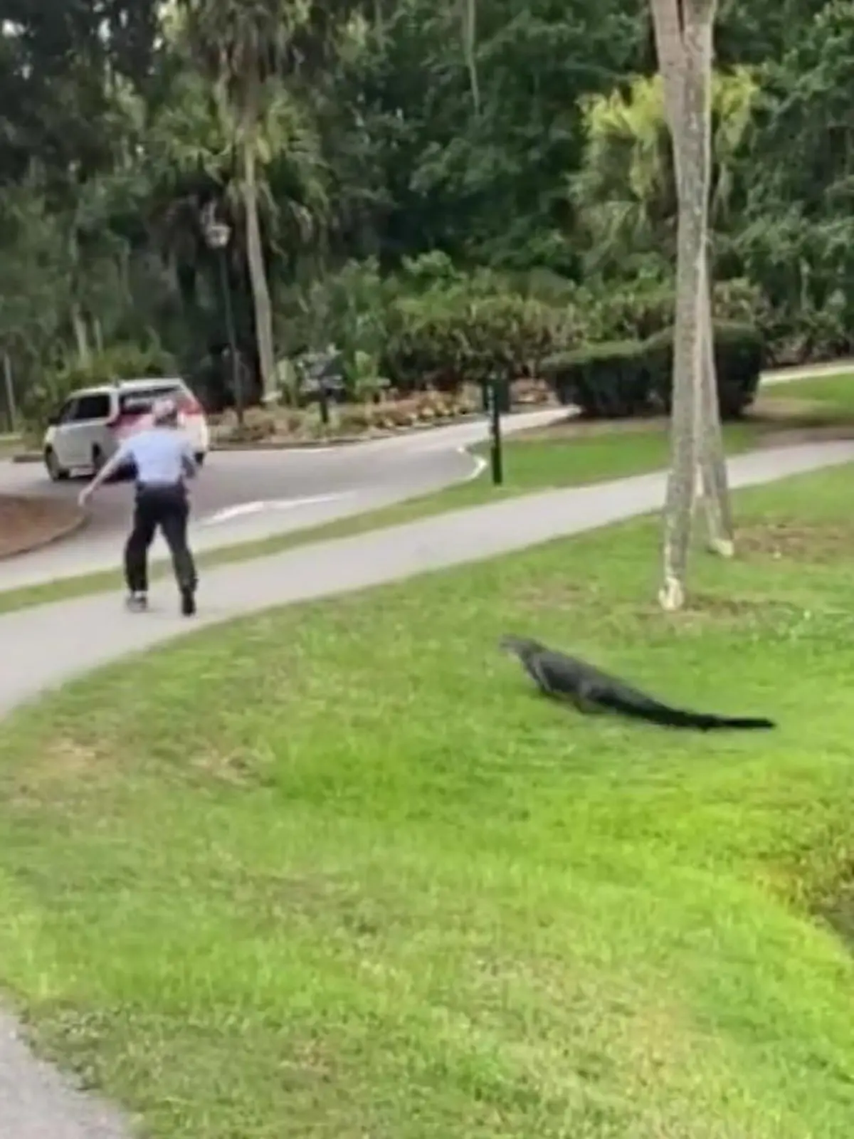 Dieser Mann will ganz entspannt seinen Tag mit seiner Angel am Fluss verbringen und wird plötzlich von einem Alligator angegriffen. Der  stürzt aus dem Wasser und nimmt die Verfolgung auf. Scheinbar will das Tier sein Revier schützen. Zum Glück geht diese Attacke gut aus und der Alligator zieht sich wieder zurück.