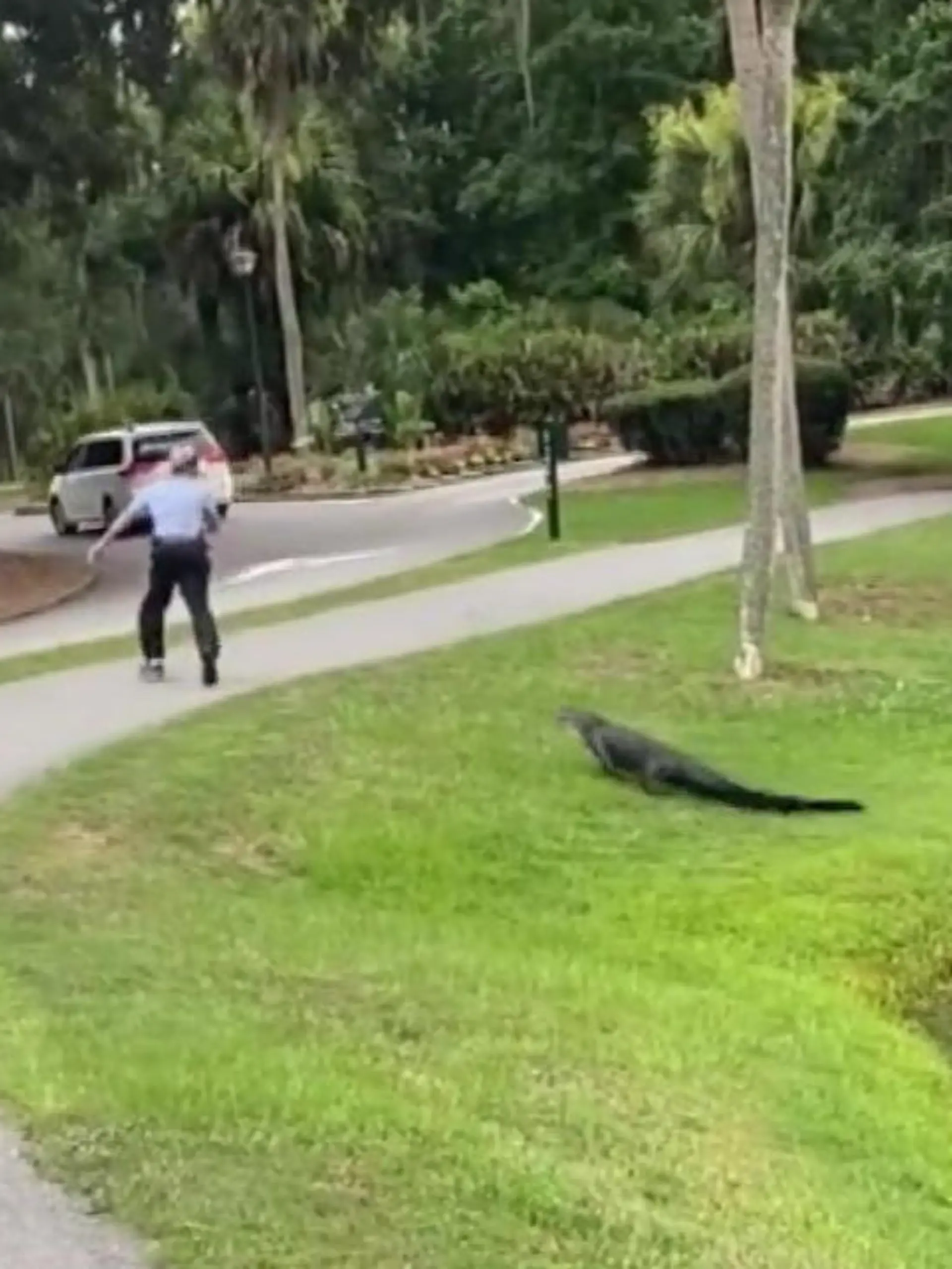 Dieser Mann will ganz entspannt seinen Tag mit seiner Angel am Fluss verbringen und wird plötzlich von einem Alligator angegriffen. Der  stürzt aus dem Wasser und nimmt die Verfolgung auf. Scheinbar will das Tier sein Revier schützen. Zum Glück geht diese Attacke gut aus und der Alligator zieht sich wieder zurück.