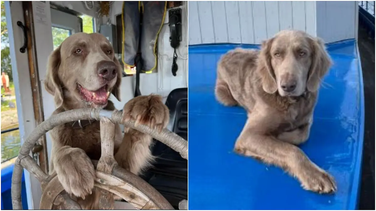 Fritz (r.) hat jetzt das Ruder auf Haukes Hausboot von Holly (l.) übernommen.