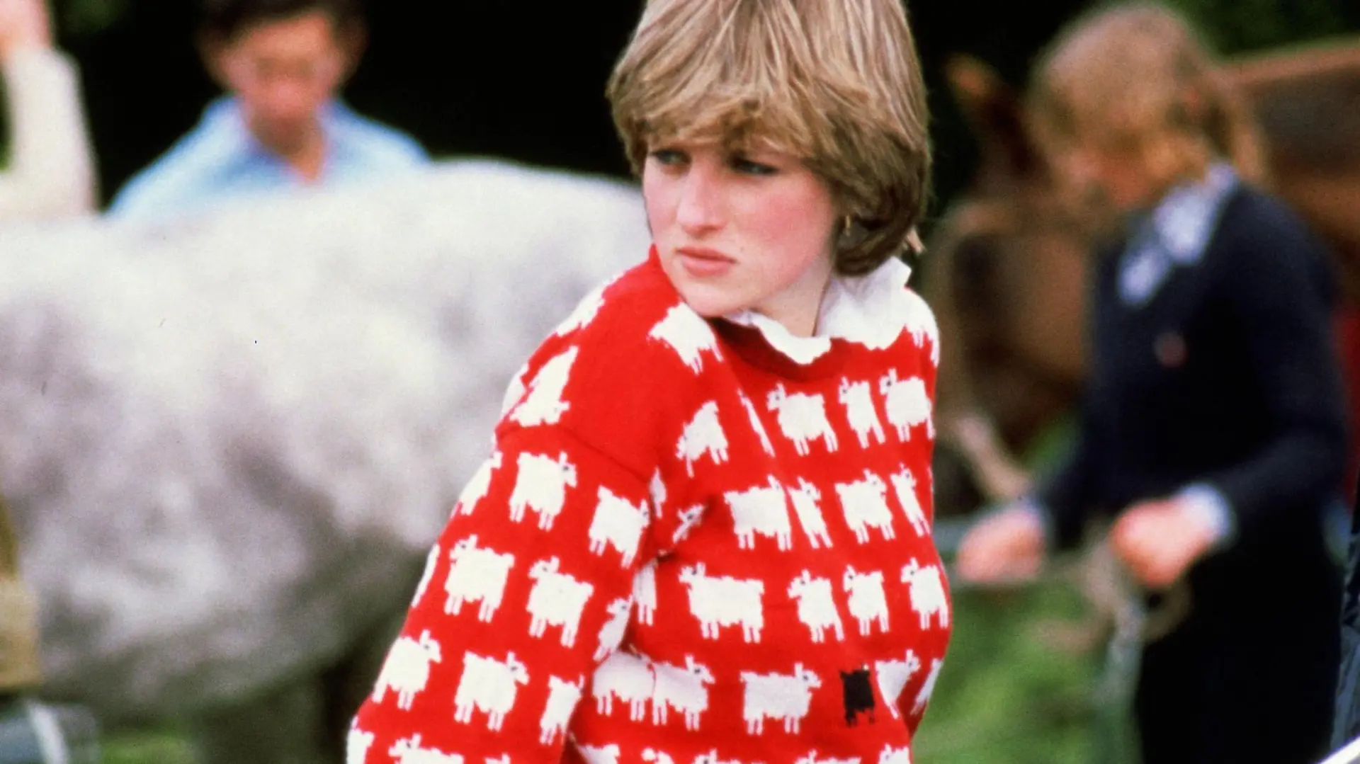 Diana, Princess of Wales (1961 - 1997) wearing 'Black sheep' wool jumper by Warm and Wonderful (Muir & Osborne) to Windsor Polo, June 1981. (Photo by Tim Graham Photo Library via Getty Images)