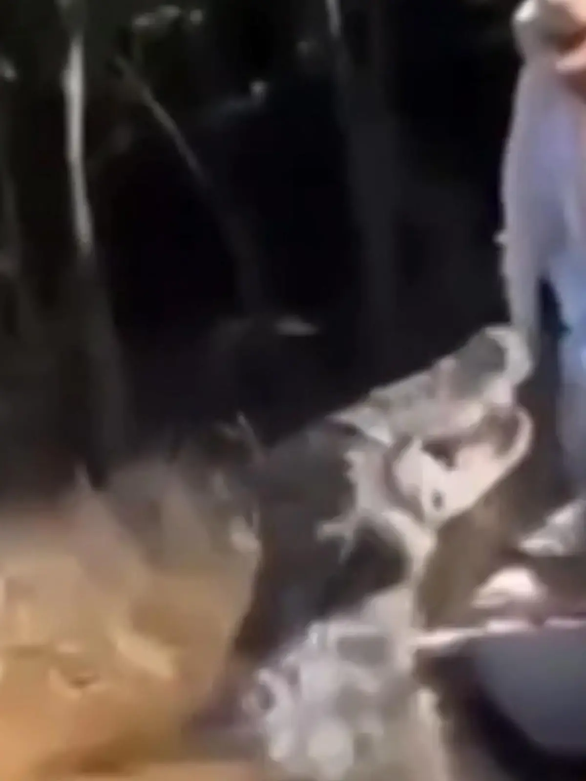 Bild zu: "Touris, passt auf! Riesen-Krokodil greift Boot an"