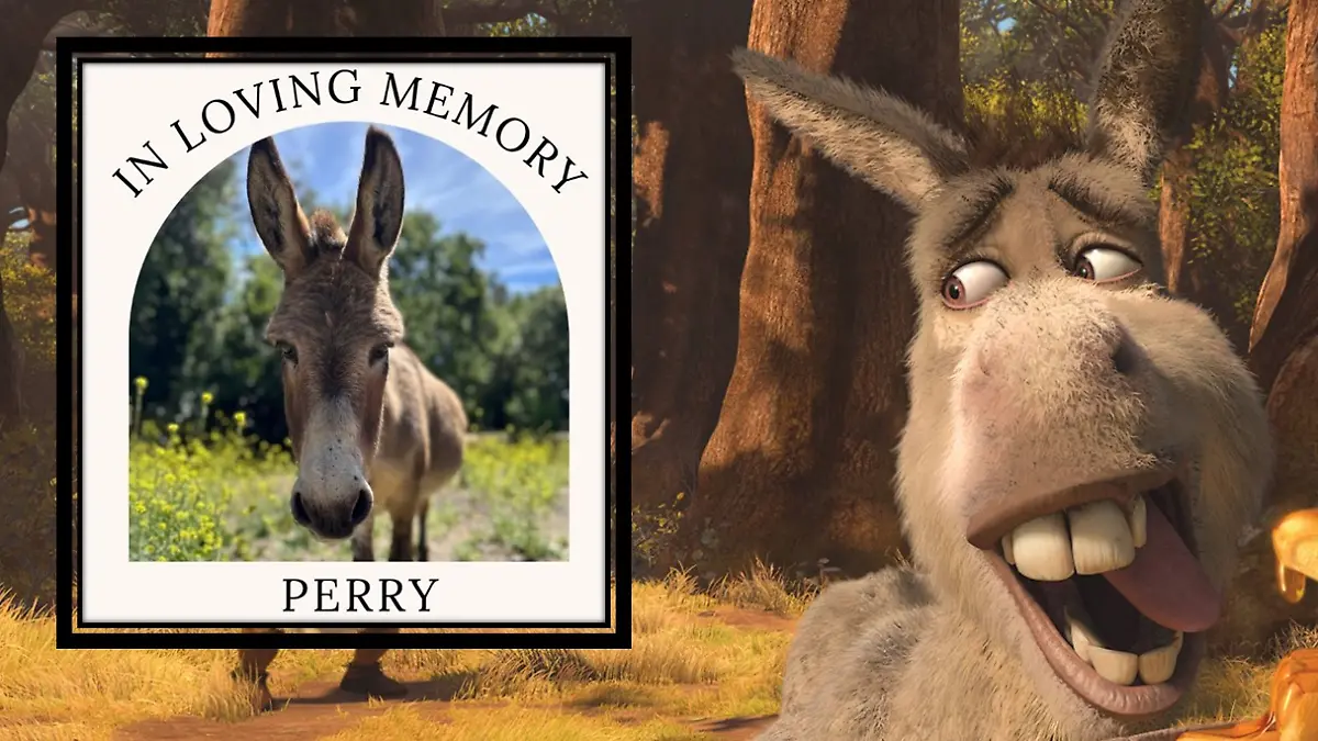 Der Esel, der das Vorbild für die Figur Donkey im Filmhit „Shrek“ war, ist tot