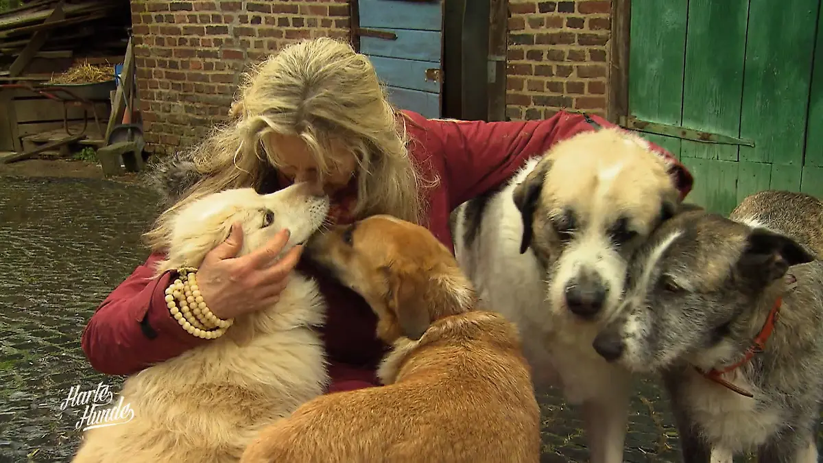 Andrea Mais kämpft für die Rechte der Tiere Vernachlässigte Hunde