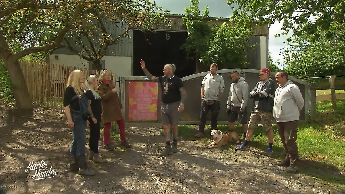 Die harten Hunde verabschieden sich Nach getaner Arbeit