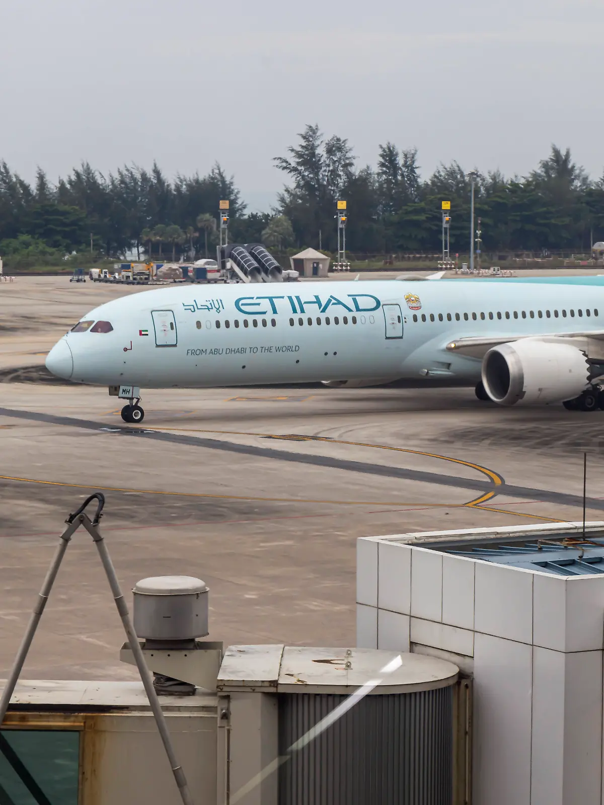 Ein Flugzeug von Etihad-Airways
. (Symbolbild)