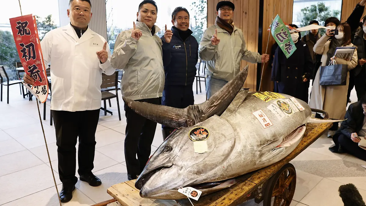 Dieser Blauflossen-Thunfisch hat bei der ersten Auktion des neuen Jahres auf einem auch bei Touristen beliebten Fischmarkt in Tokio knapp 1,3 Millionen Euro eingebracht