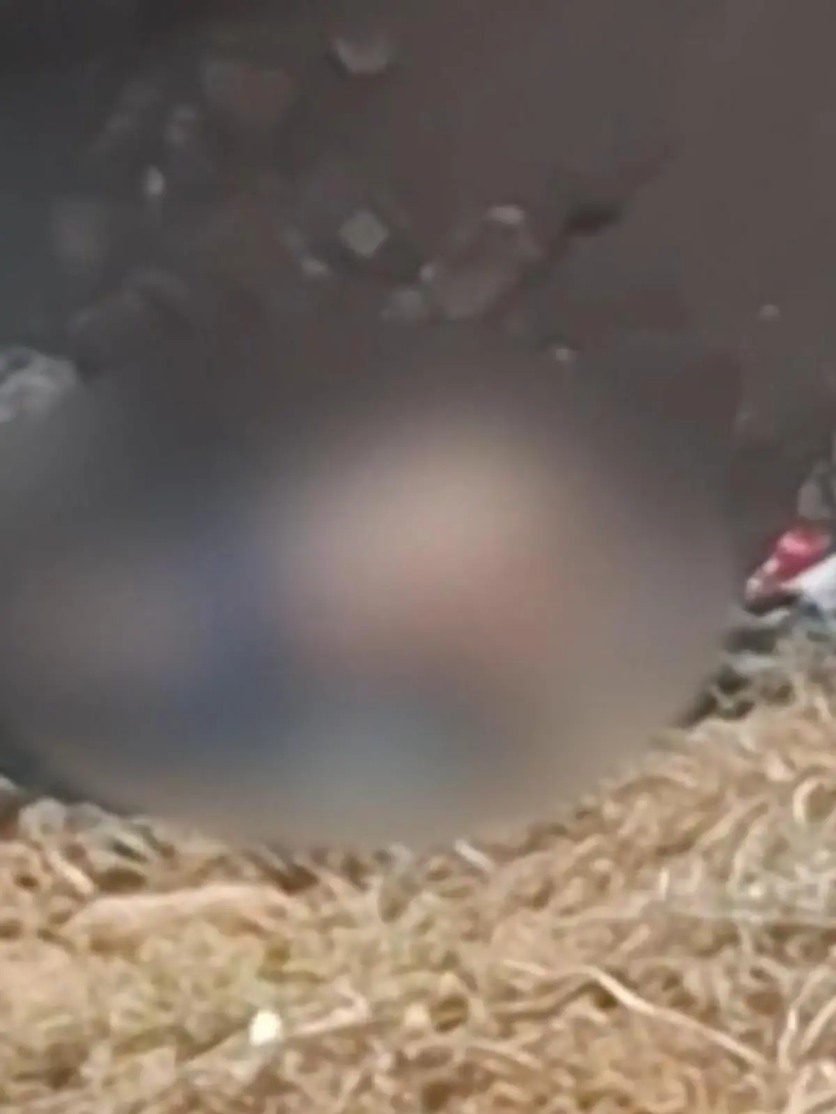 Begierige Bucht-Besucher! Pärchen hat Sex am Strand – Vater ist empört