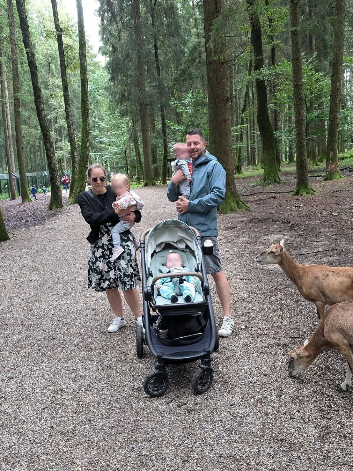 Martina und Tobias Straub mit ihren Kindern Magdalena (1), Leopold und Benjamin (9 Monate) 