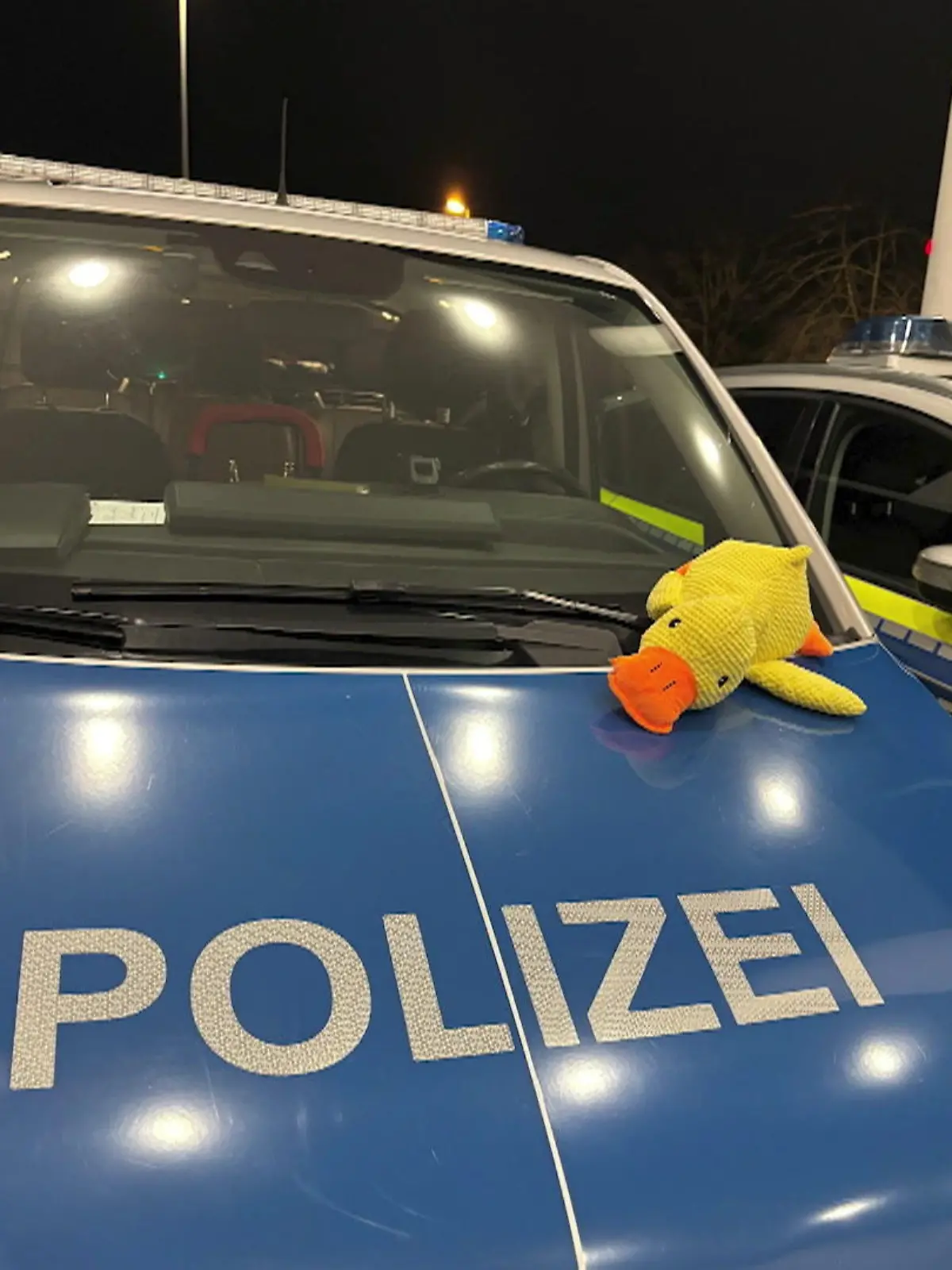 Bild zu: "Stofftier sucht Besitzer"