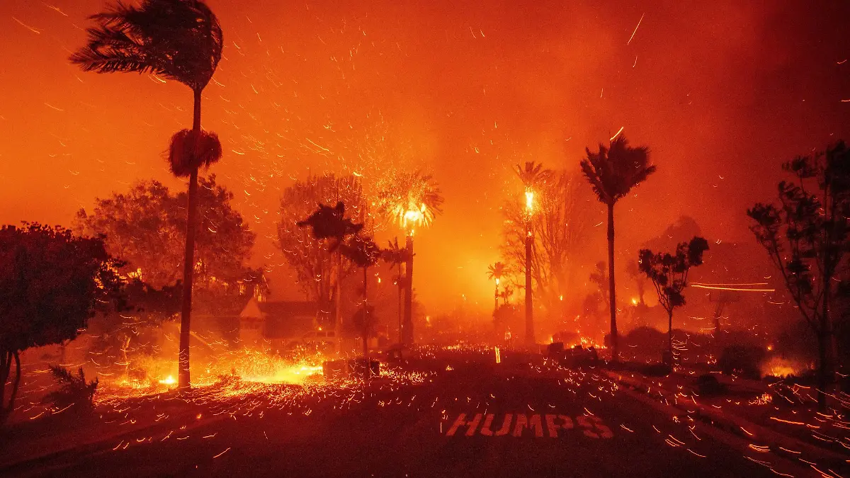 In der Feuerzone haben viele Hollywoodstars Villen.