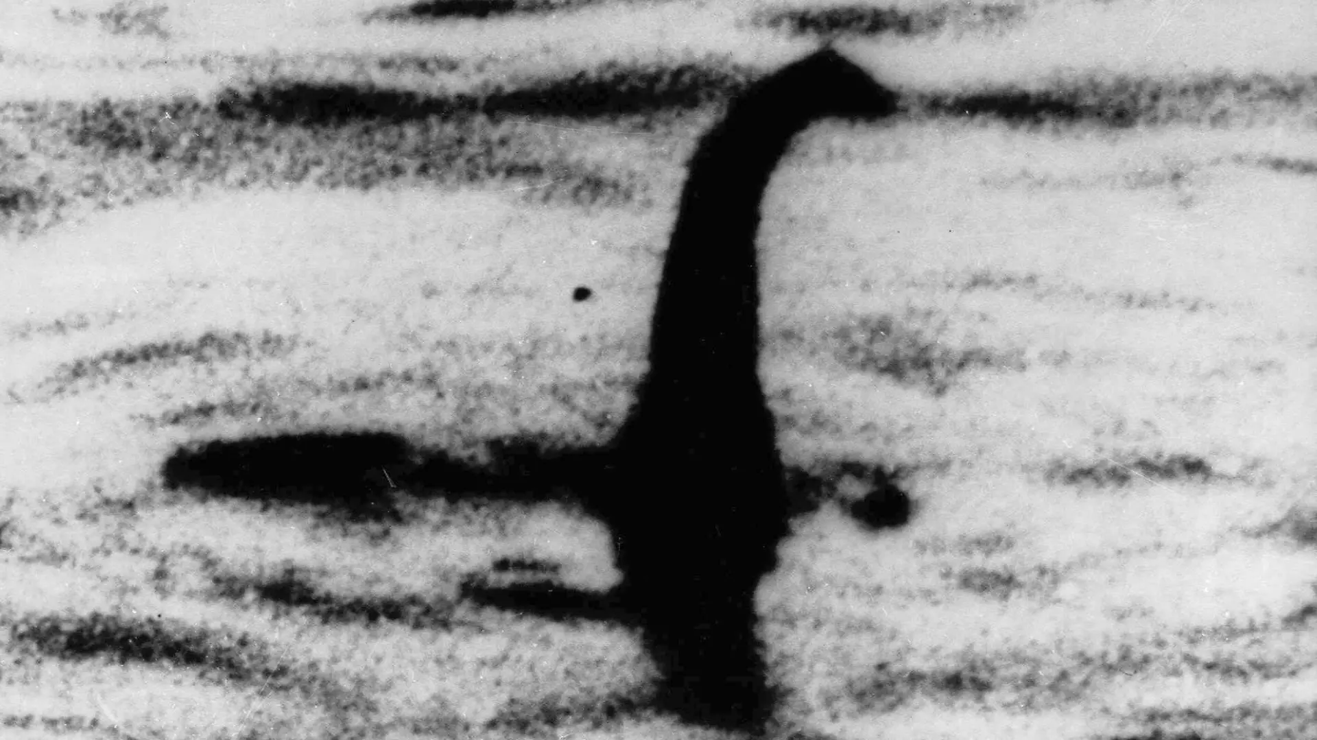 FILE - This undated file photo shows a shadowy shape that some people say is a the Loch Ness monster in Scotland, later debunked as a hoax.  Mystery-hunters converged on a Scottish lake on Saturday, Aug. 26, 2023 to hunt for signs of the mythical Loch Ness Monster. The Loch Ness Center said researchers would try to seek evidence of Nessie using thermal-imaging drones, infrared cameras and a hydrophone to detect underwater sounds in the lake’s murky waters. (AP Photo/File)