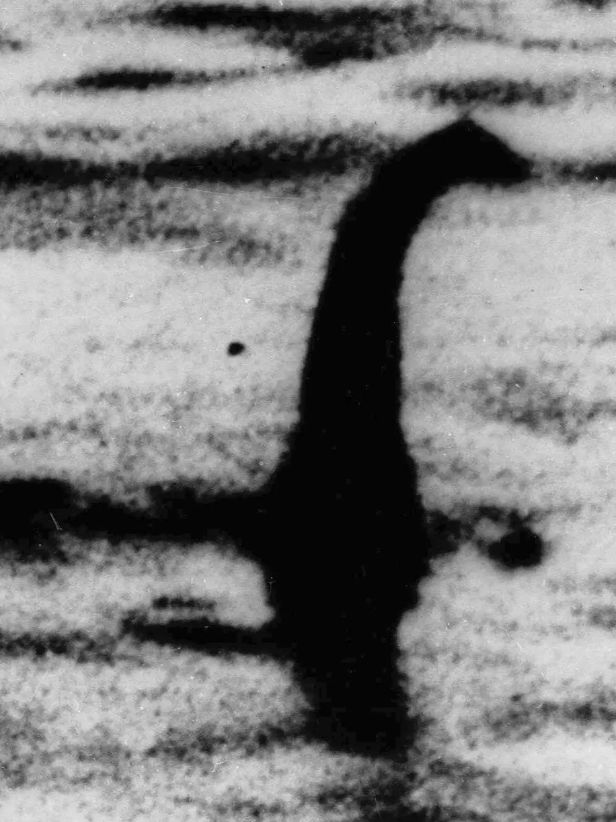 FILE - This undated file photo shows a shadowy shape that some people say is a the Loch Ness monster in Scotland, later debunked as a hoax.  Mystery-hunters converged on a Scottish lake on Saturday, Aug. 26, 2023 to hunt for signs of the mythical Loch Ness Monster. The Loch Ness Center said researchers would try to seek evidence of Nessie using thermal-imaging drones, infrared cameras and a hydrophone to detect underwater sounds in the lake’s murky waters. (AP Photo/File)