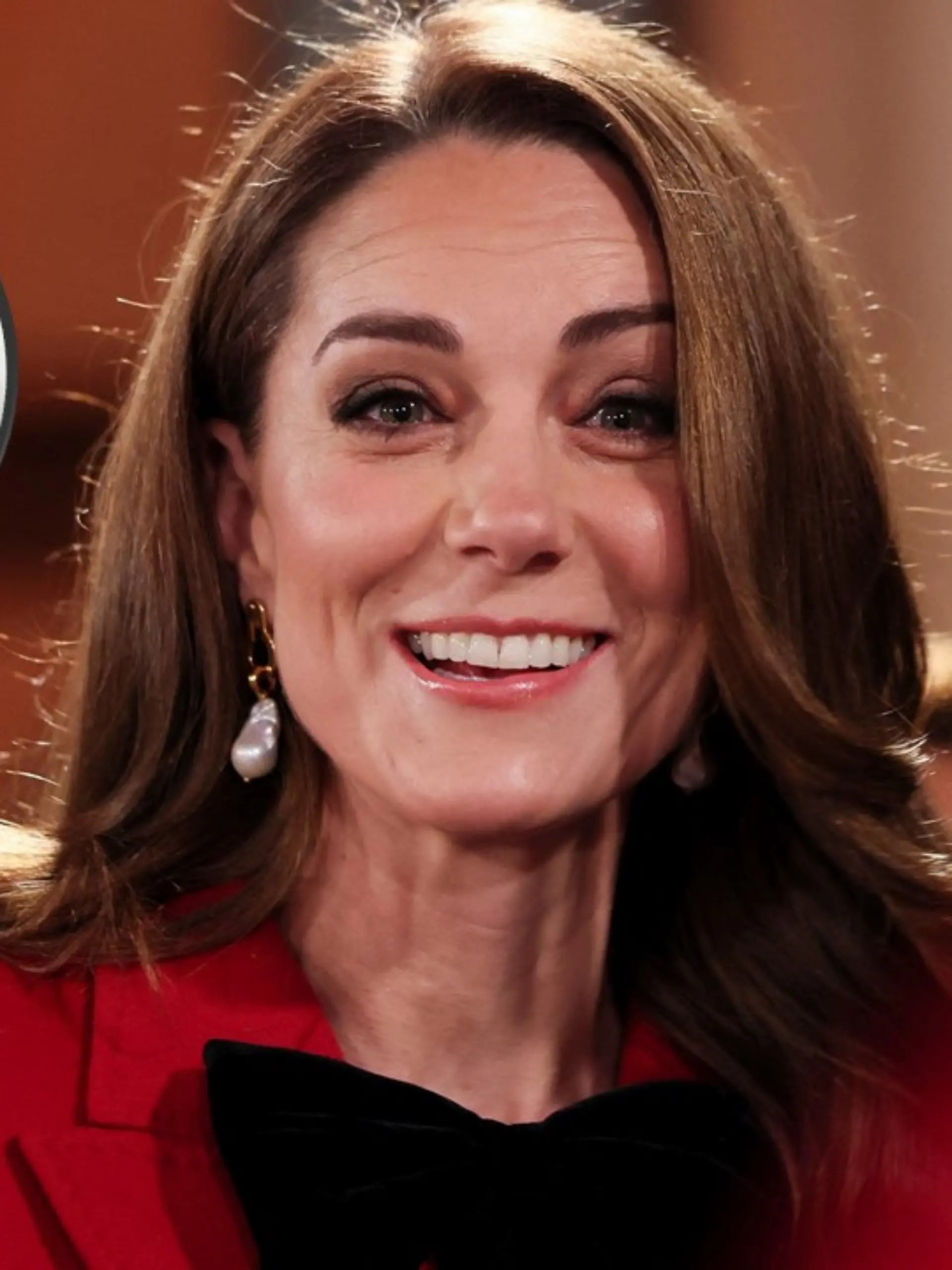 Bild zu: "Bei Williams Worten für Kate kommen Adelsexperte Begasse die Tränen"