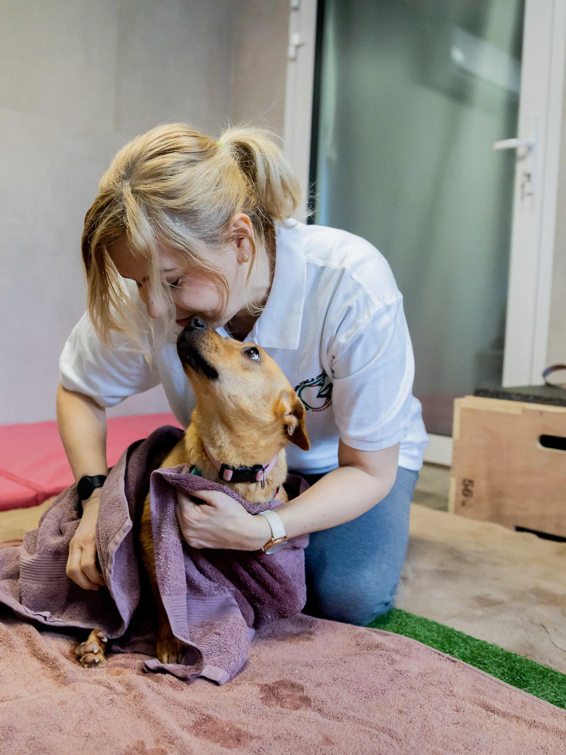 PRODUKTION - 12.04.2022, Polen, Przemysl: Hündin Vira wird von Marta Dominiak-Drelicharz, Tierpflegerin nach einer Lauf-Therapie in einem Wasserbecken mit eingebautem Laufband in der Tierklinik «Ada» abgetrocknet. Die Hündin Vira wurde im Donbas vor zwei bis drei Jahren von einer Kugel an der Wirbelsäule verletzt. Da eine operative Entfernung zu gefährlich ist, sollen verschiedene Therapien die Funktion der Hinterbeine anregen. (zu dpa: «Wie eine angeschossene Hündin aus der Ukraine in Polen laufen lernt») Foto: Christoph Soeder/dpa +++ dpa-Bildfunk +++