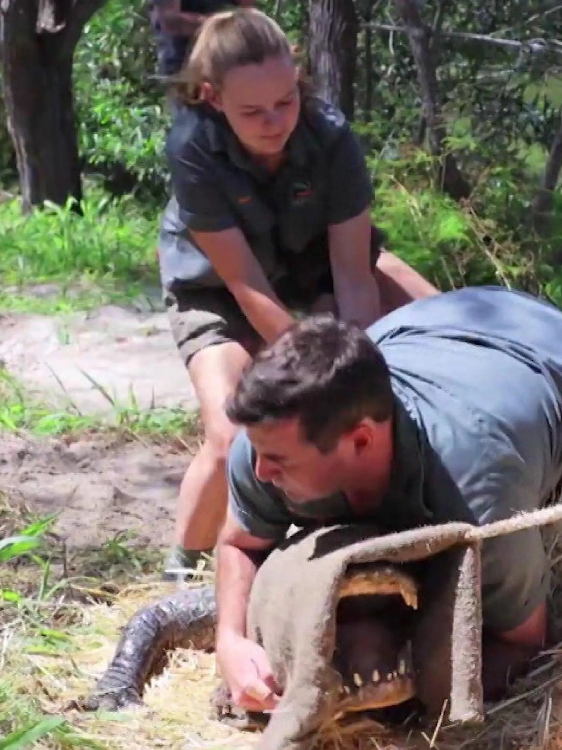 Die Zoowärter im Australian Reptile Park haben wohl einen der gefährlichsten Berufe der Welt