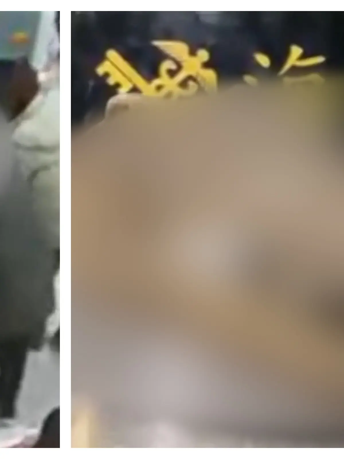 Beamte entdecken an einem chinesischen Flughafen einen Krokodil-Kopf im Koffer eines Passagiers.