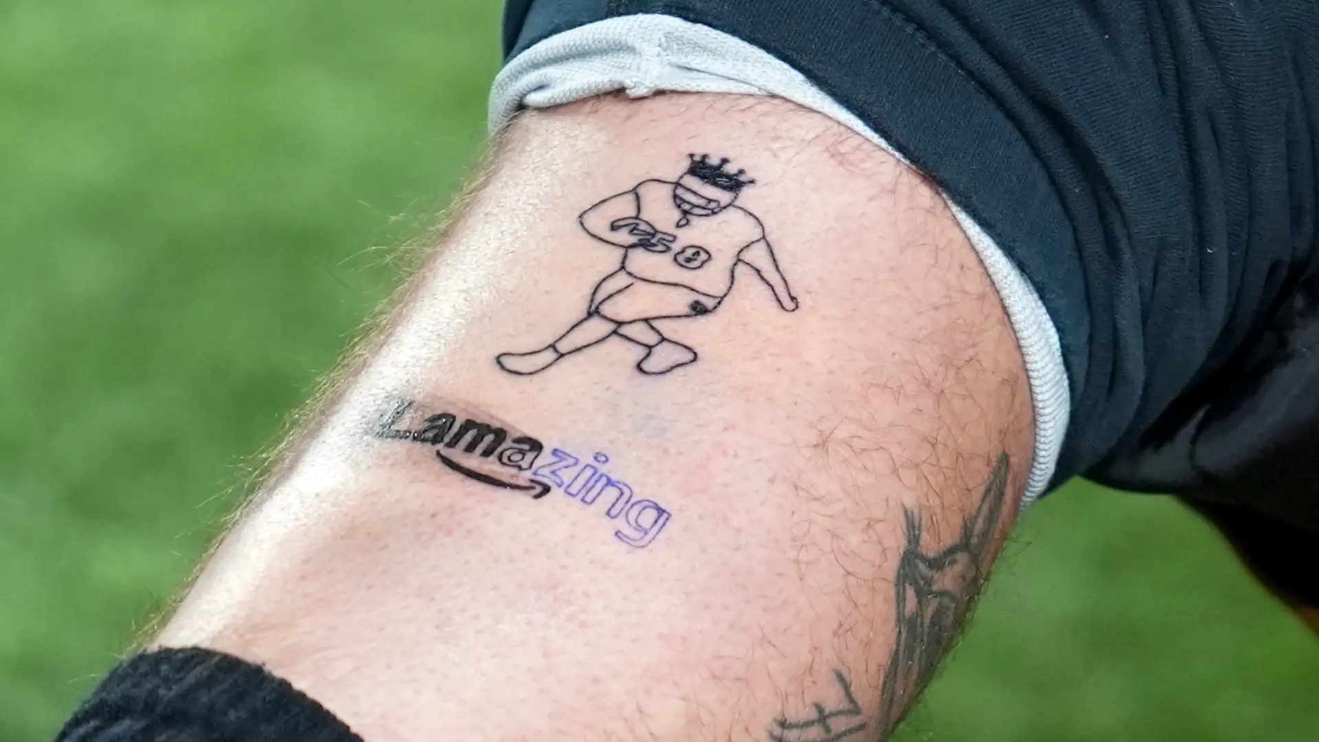501571628.jpg
