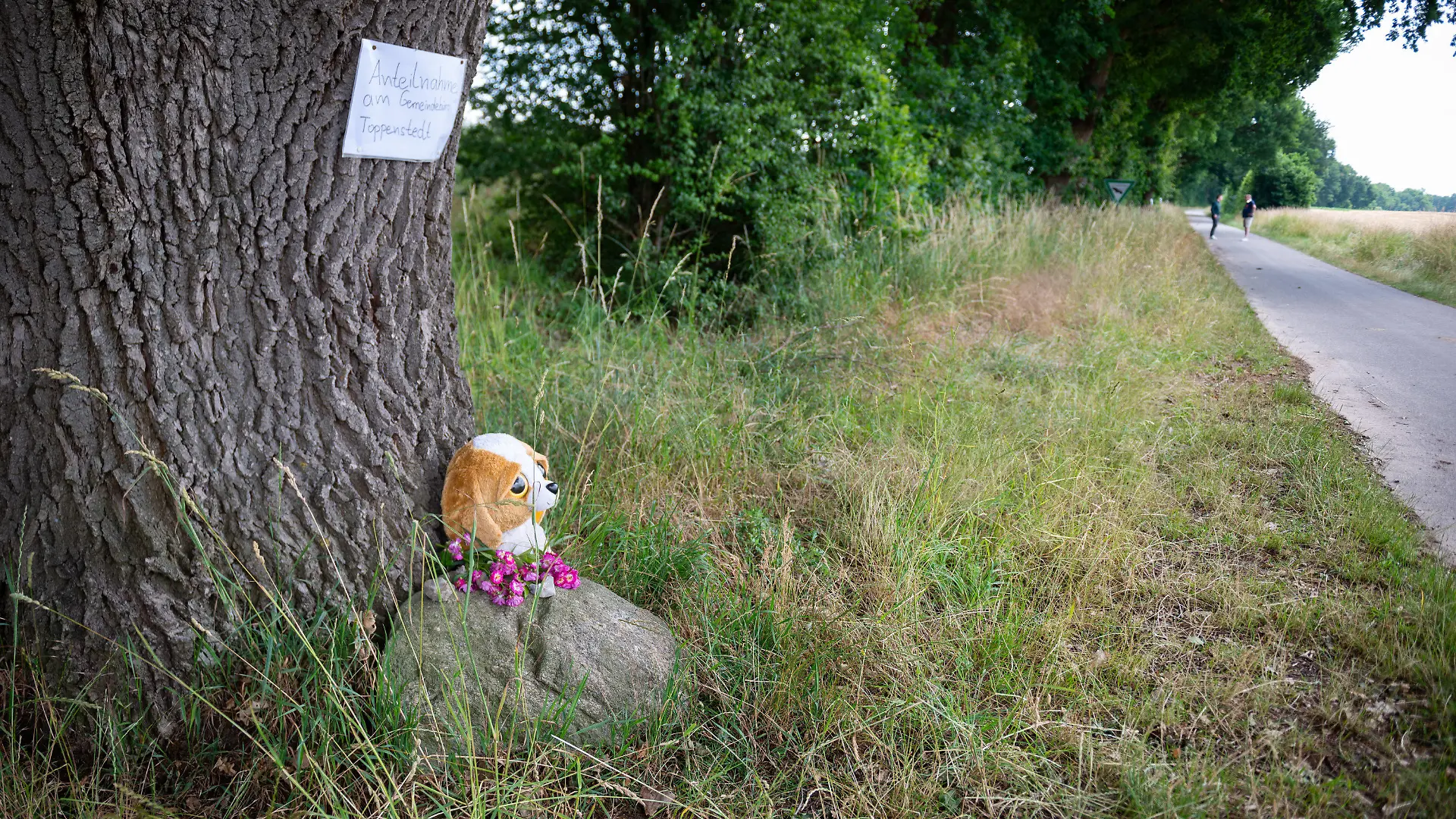 25.06.2023, Niedersachsen, Toppenstedt: Blumen und ein Kuscheltier an einem Baum nahe der Unfallstelle. Bei einer Ausfahrt mit einem Radlader sind im niedersächsischen Toppenstedt südlich von Hamburg ein kleiner Junge und ein erwachsener Mann tödlich verunglückt. Zehn weitere Kinder im Alter von vier bis zehn Jahren wurden laut Feuerwehr verletzt, einige von ihnen schwer. Foto: Jonas Walzberg/dpa +++ dpa-Bildfunk +++