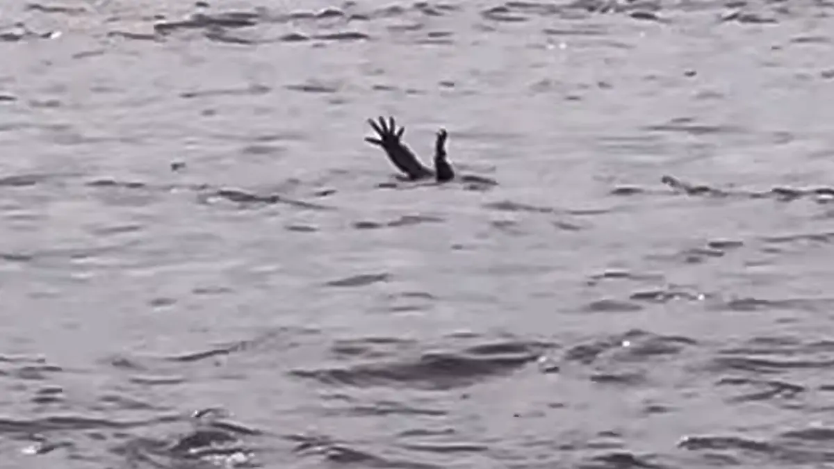 Ein Krokodil reckt die Arme aus dem Wasser.