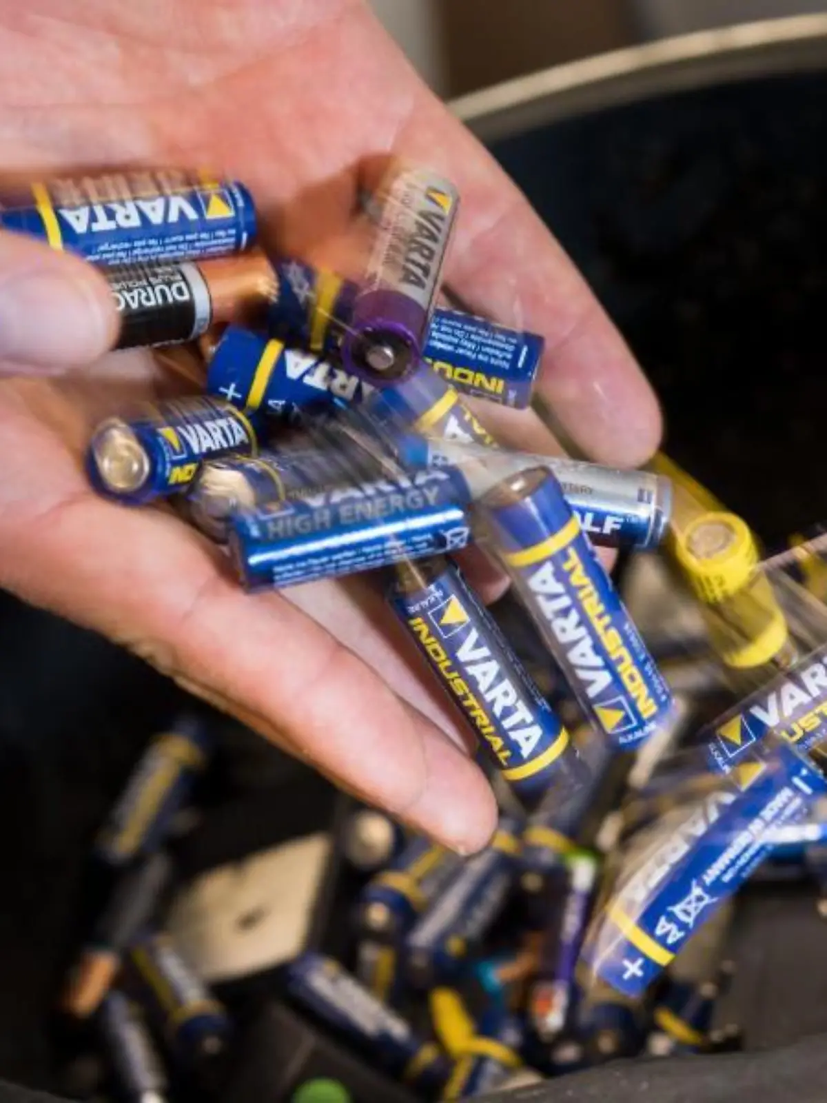 Sammelbox für Batterien