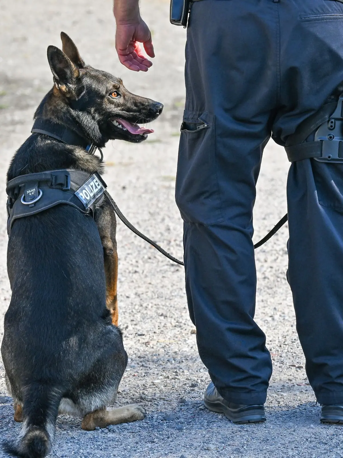 Bild zu: "Junge (6) vermisst! Sogar ein Polizeihubschrauber ist im Einsatz"