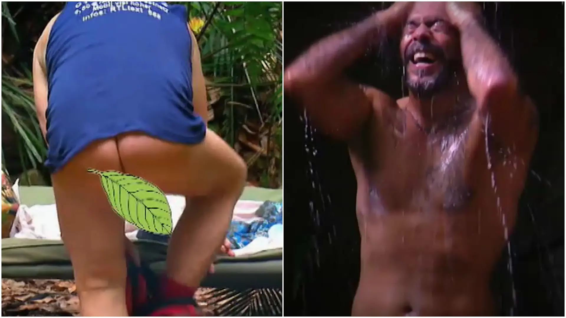 Nackte Tatsachen im Dschungelcamp: Klaus Baumgart 2013 und Aurelio Savina 2015. 