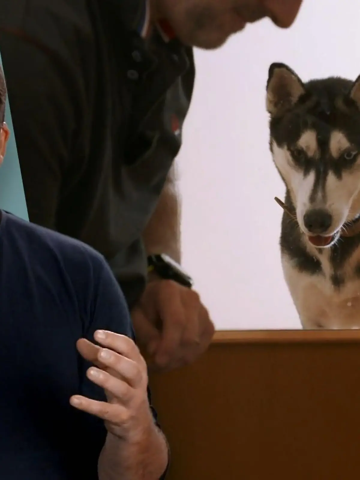 Bild zu: "Luna fügte Kimba schwere Verletzungen zu"