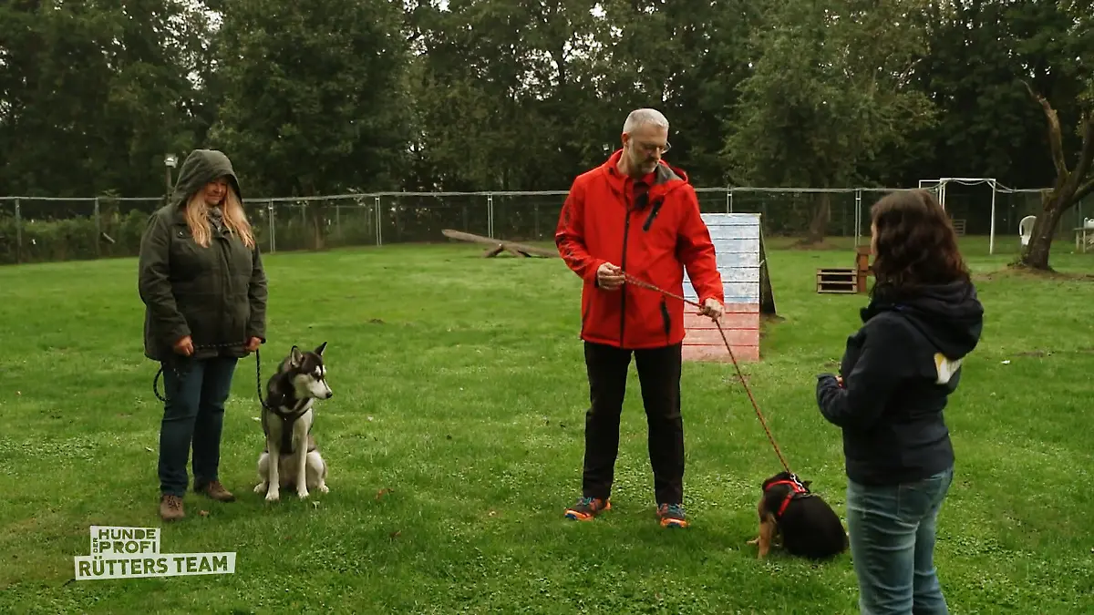 Angespannte Situation zwischen Luna und Kimba Geht das Training gut?
