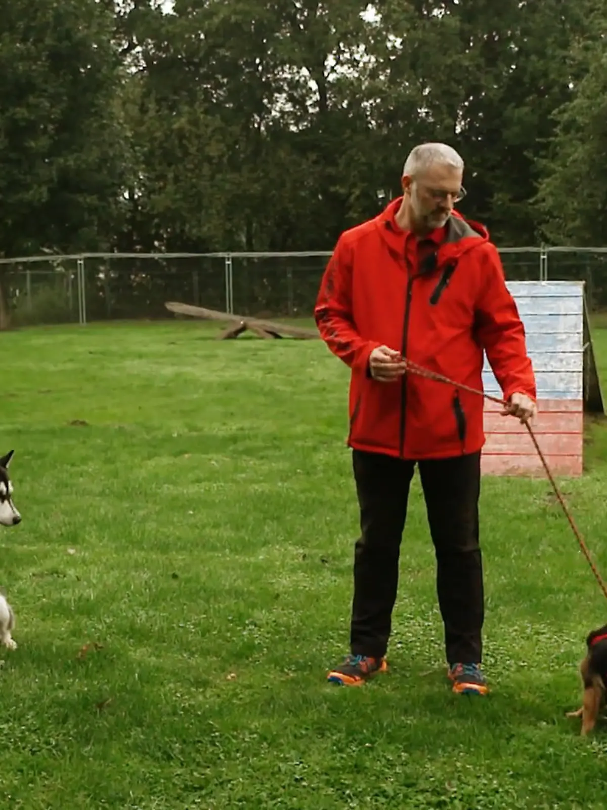 Bild zu: "Angespannte Situation zwischen Luna und Kimba"