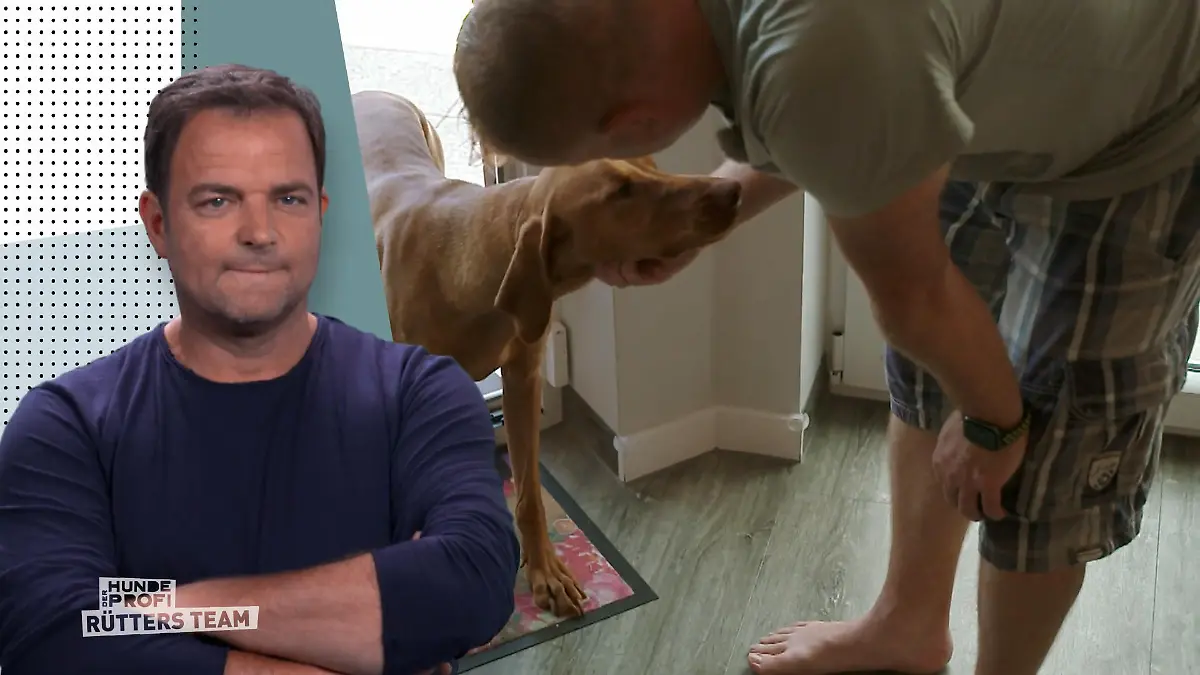 Nur draußen fühlt sich Dexter sicher Angst vorm Parkett