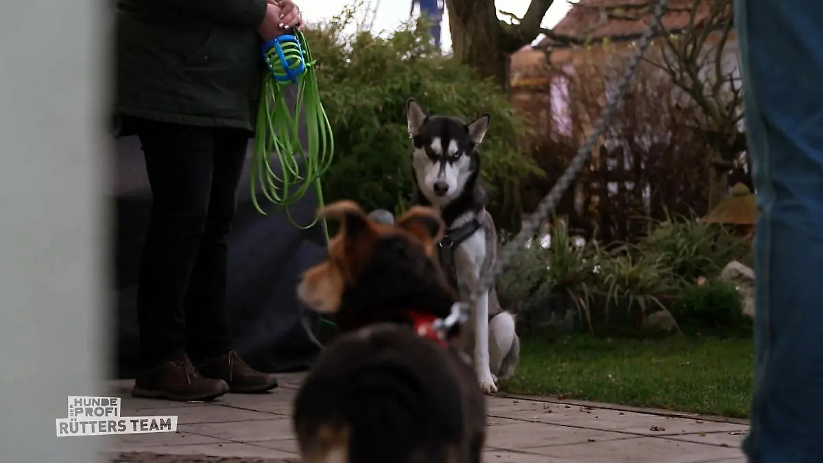 Zwischen den beiden kann es schnell ernst werden Nicht kompatibel