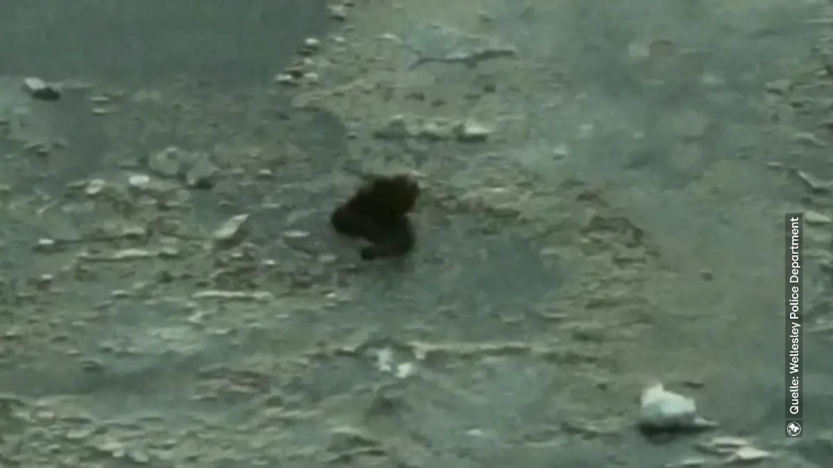 Eingebrochen im Eis – Für IHN riskiert er sein Leben Rettung endet fast tödlich!