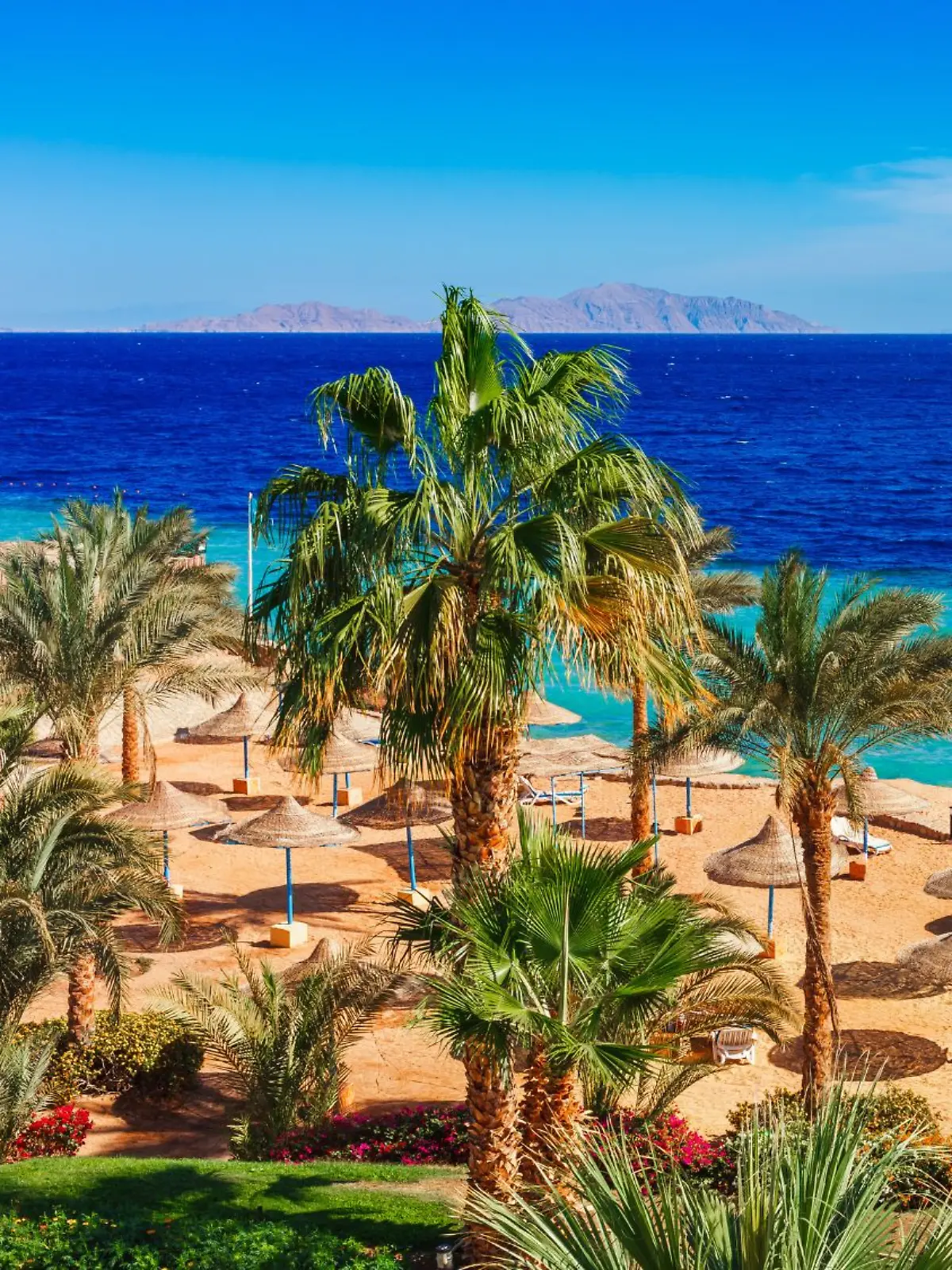 Ein Städtetrip in Amsterdam und All-inclusive in Ägypten? Vielleicht überlegt ihr euch diese Reisepläne nochmal ...