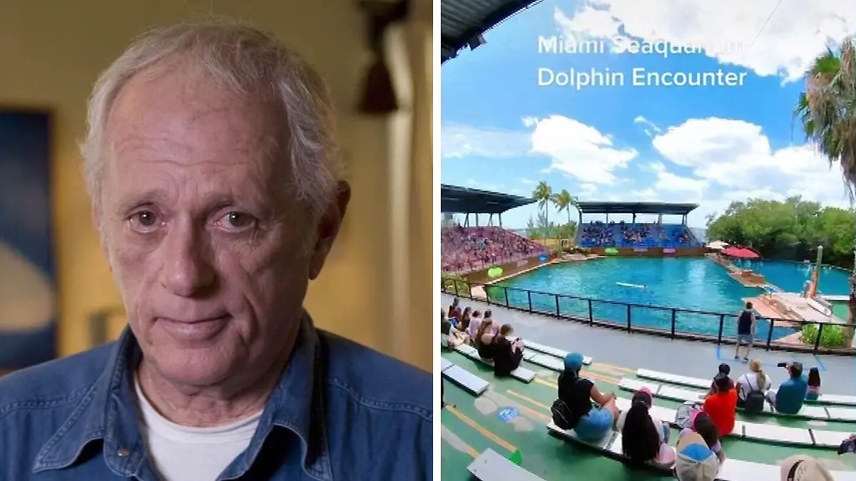 Ric O'Barry, Experte für Delfine, erklärt, was er von Delfin-Shows hält.