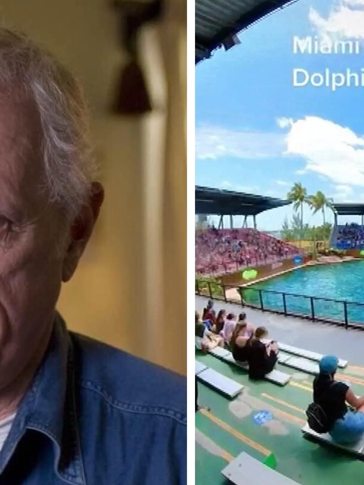 Ric O'Barry, Experte für Delfine, erklärt, was er von Delfin-Shows hält.
