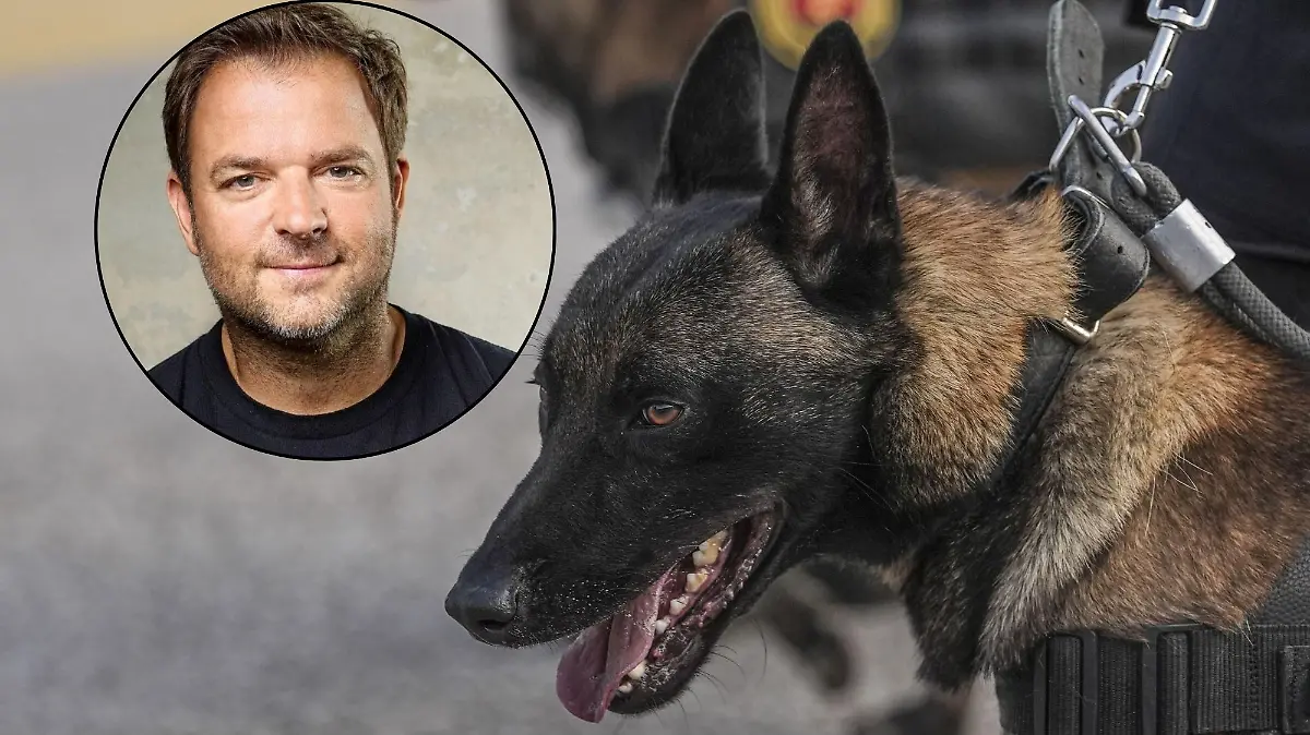 Martin Rütter übt harte Kritik nach Polizeihundeeinsatz in Riesa: „Das ist Tierquälerei.”