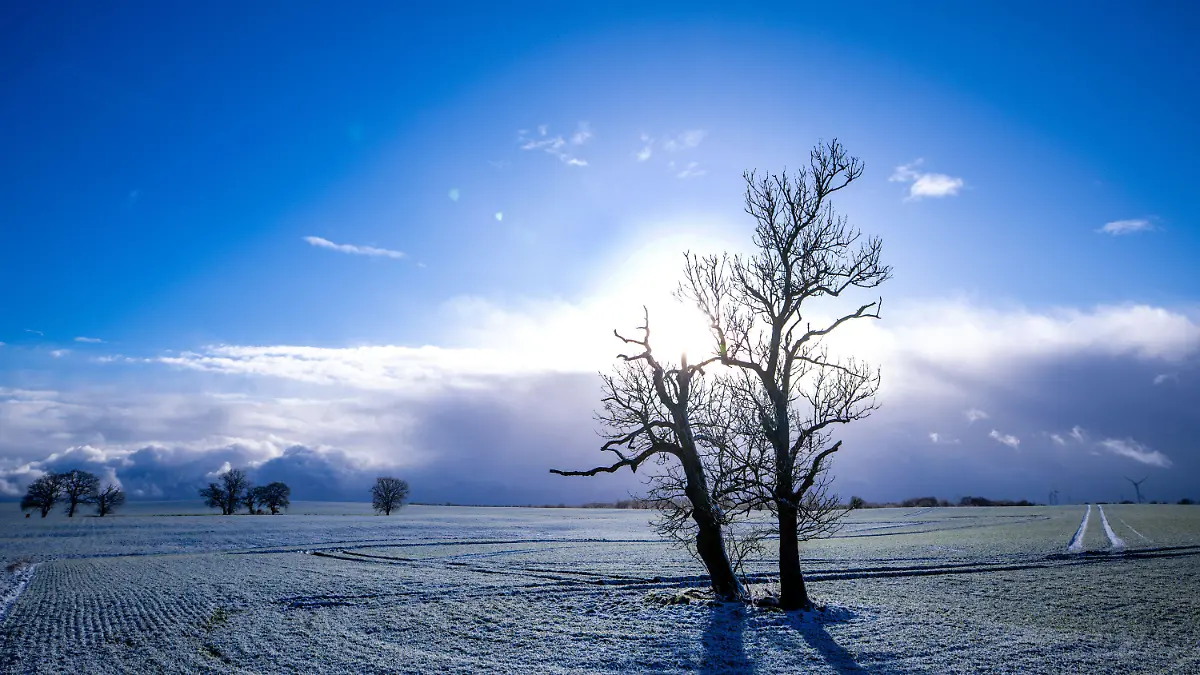 dpatopbilder - 03.01.2025, Mecklenburg-Vorpommern, Veelböken: Ein Baum steht auf einem leicht verschneiten Feld. Mit leichtem Schneefall und Sonnenschein zeigt sich das Winterwetter in Norddeutschland von seiner freundlichen Seite. Foto: Jens Büttner/dpa +++ dpa-Bildfunk +++